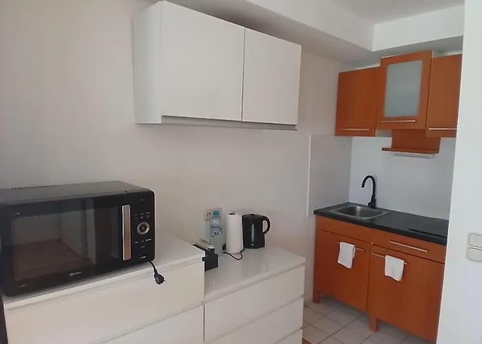 아파트 3-wiesbaden Studio-terrasse,wlan,parkplatz Frei